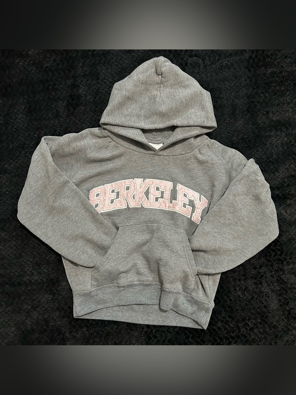 Jansport Berkeley Gray Pullover Hoodie Pink Spellout Size Small